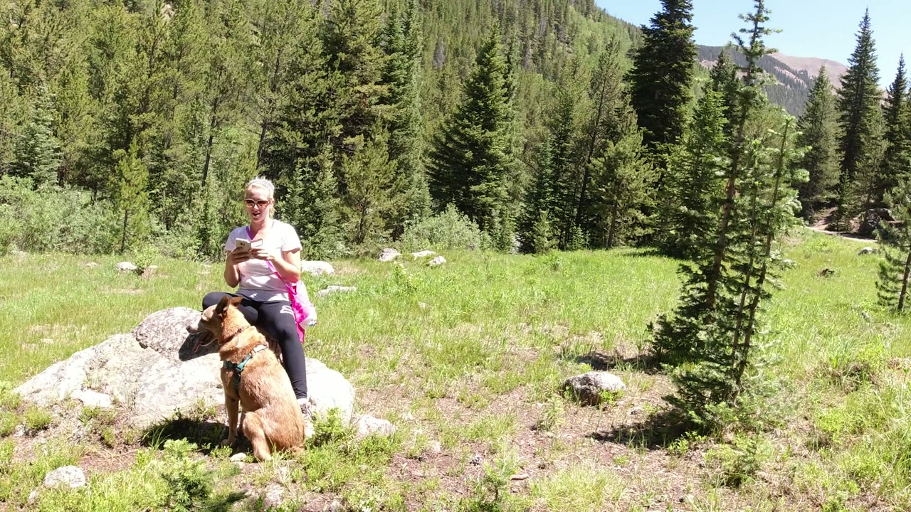 At the start of the clip, a woman in sunglasses is beside a tan dog near pale boulders in a grassy Winter Park, Colorado clearing with evergreen woods behind them.