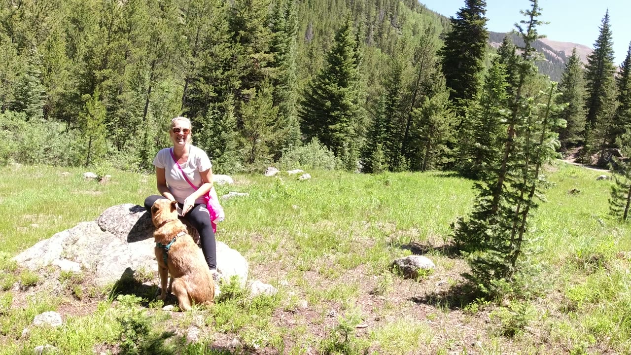 Woman leaning toward a seated dog in a sunny mountain meadow.