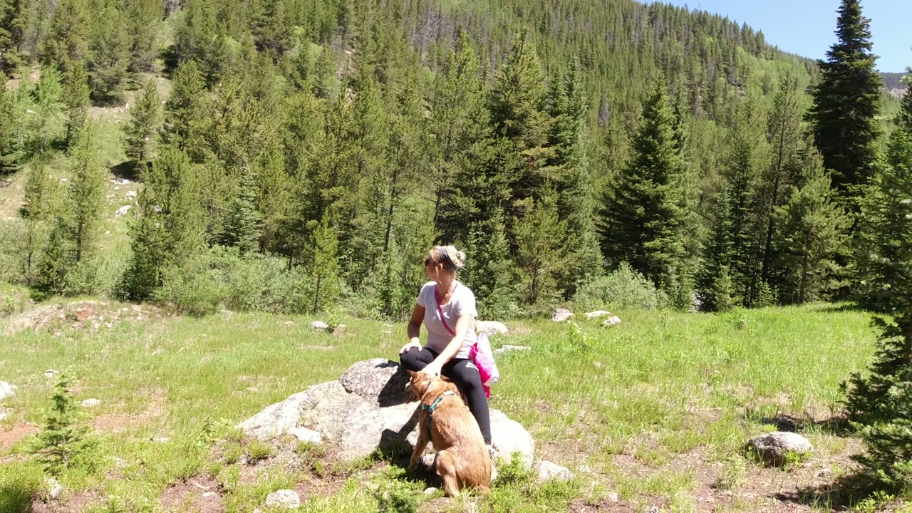 In Winter Park, Colorado, a woman in a light top sits on a large boulder beside a tan dog, with grass, conifers, and a tree-covered hillside behind her.