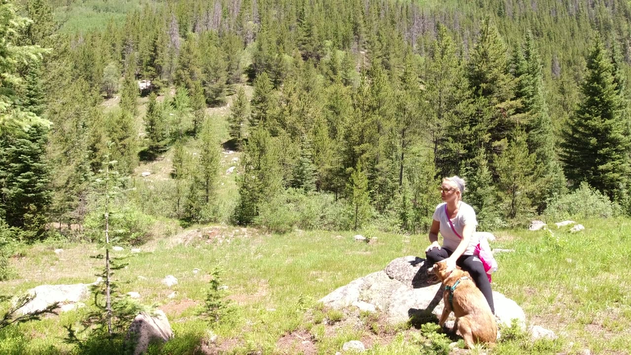 The woman remains by the boulder with the tan dog at her knees, framed by bright grass, scattered rocks, tall evergreen trees, and the forested Winter Park hillside.