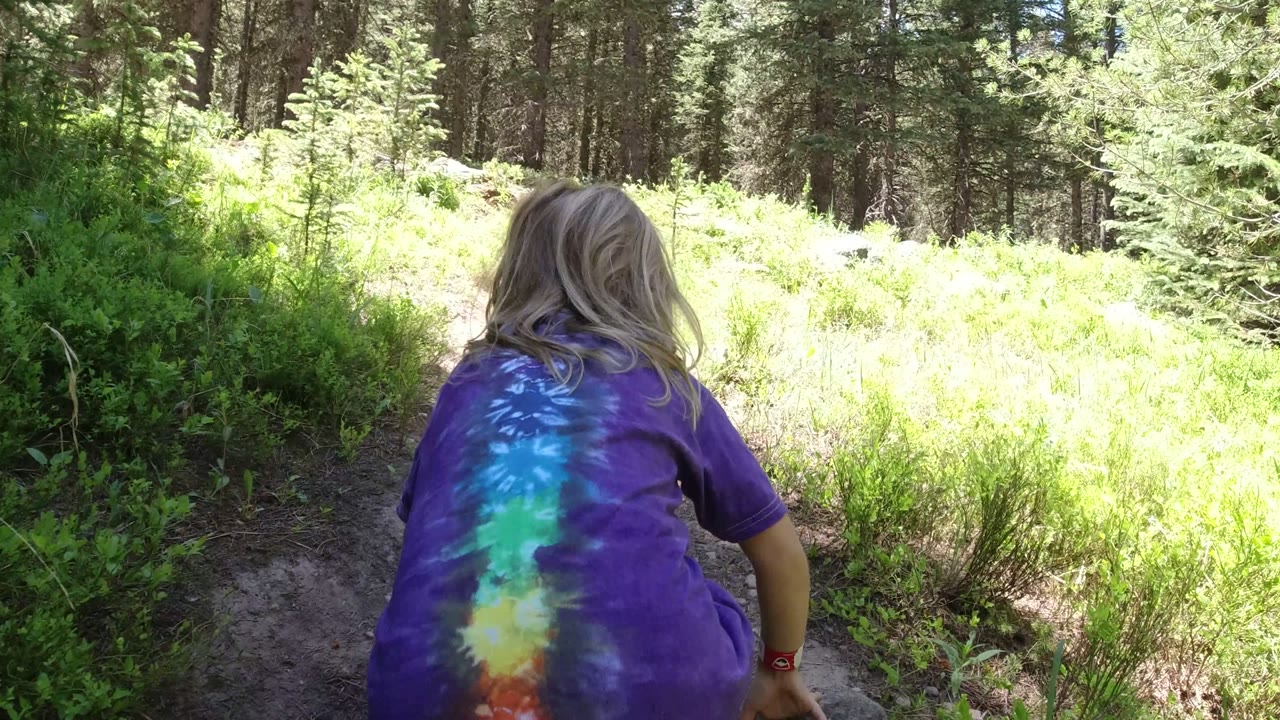 In Winter Park, Colorado, the girl is centered from behind on the dirt path, with her purple tie-dye shirt bright against sunlit grass and darker forest beyond.