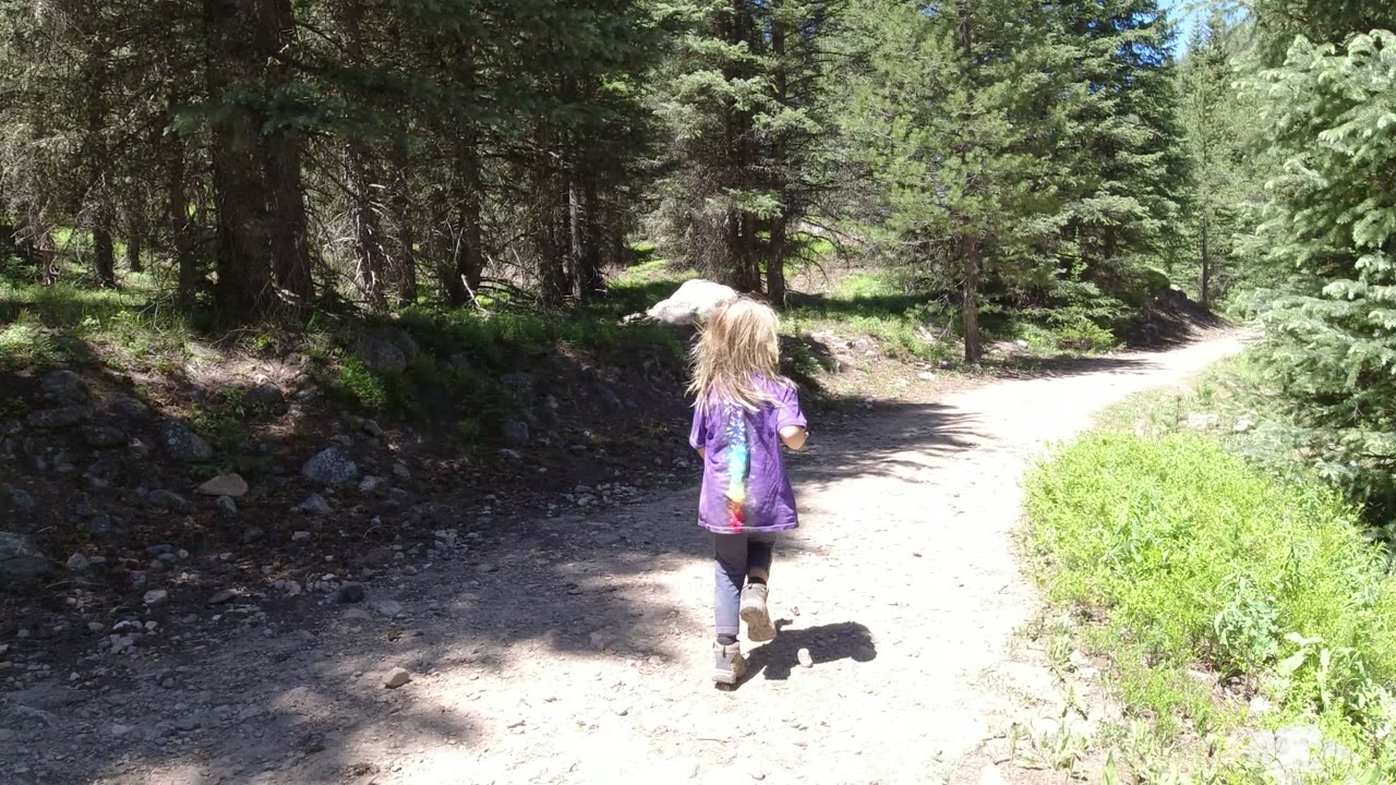 Blonde child walking away on a sunlit forest trail.