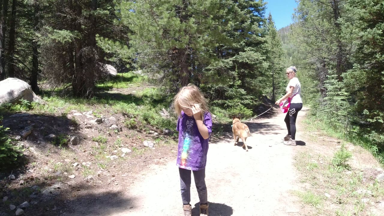 Child, woman, and dog on a forest trail.