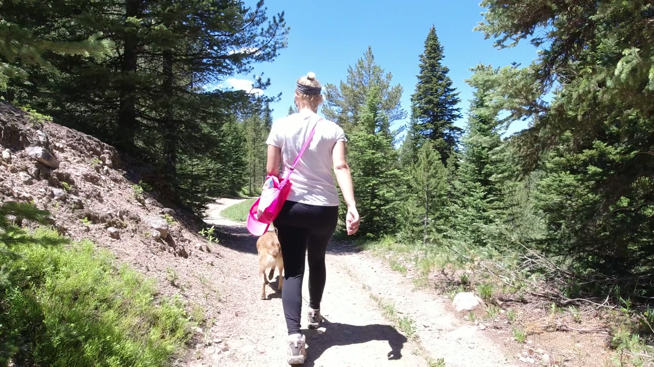 In Winter Park, Colorado, a woman seen from behind walks a tan dog along a pale dirt road bordered by conifers and a rocky bank.
