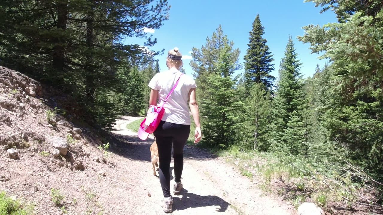 In Winter Park, Colorado, the woman and dog move farther down the curving forest road, with a rocky slope on the left and dense green trees ahead.