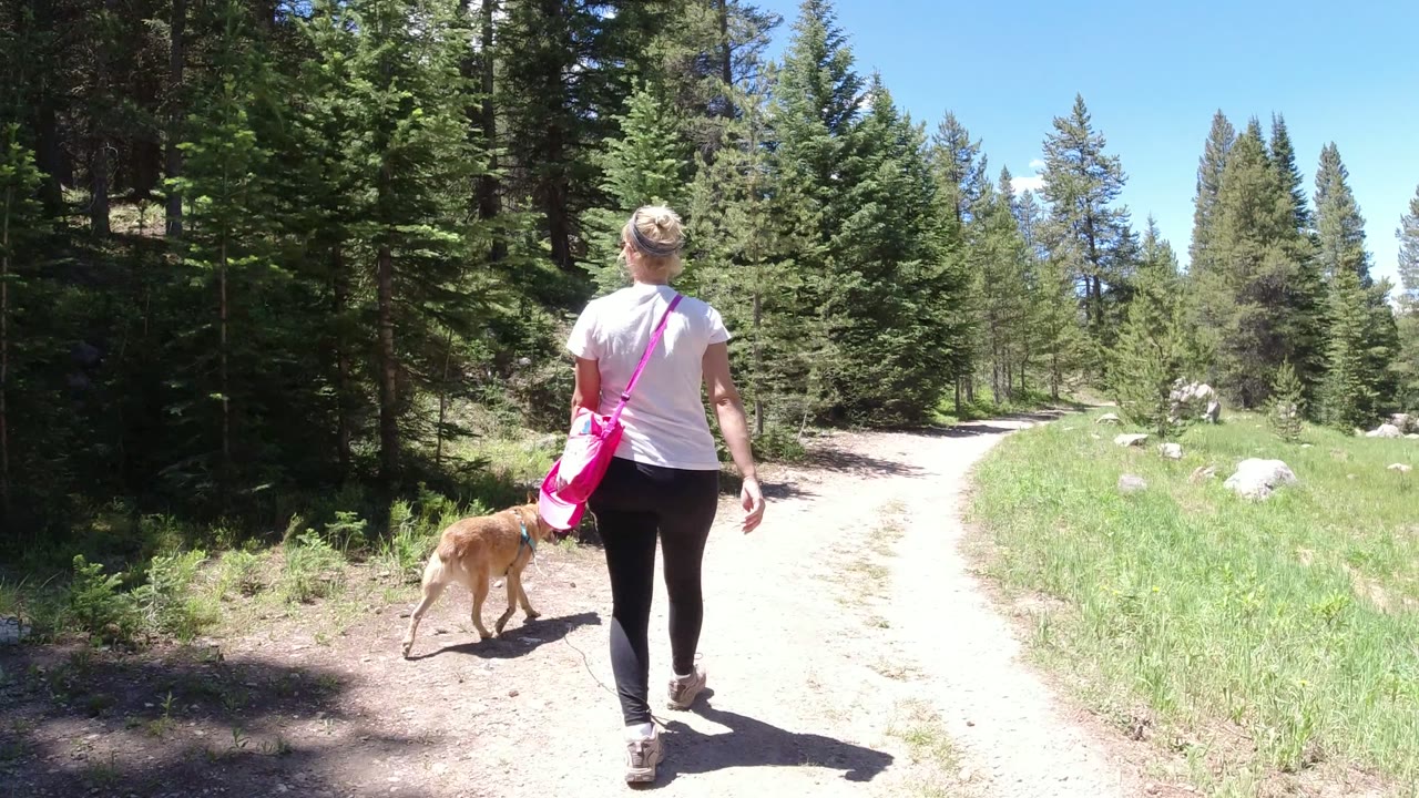 In Winter Park, Colorado, a woman in a white shirt and pink bag walks a tan dog away from the camera on a sunlit dirt trail bordered by evergreens and grass.
