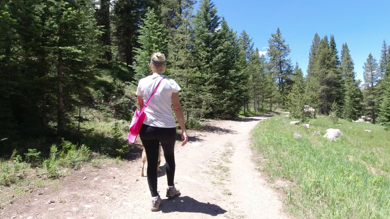 A second into the Winter Park trail clip, the woman and dog continue away along the pale path, with darker conifers on the left and a sunny grass verge on the right.