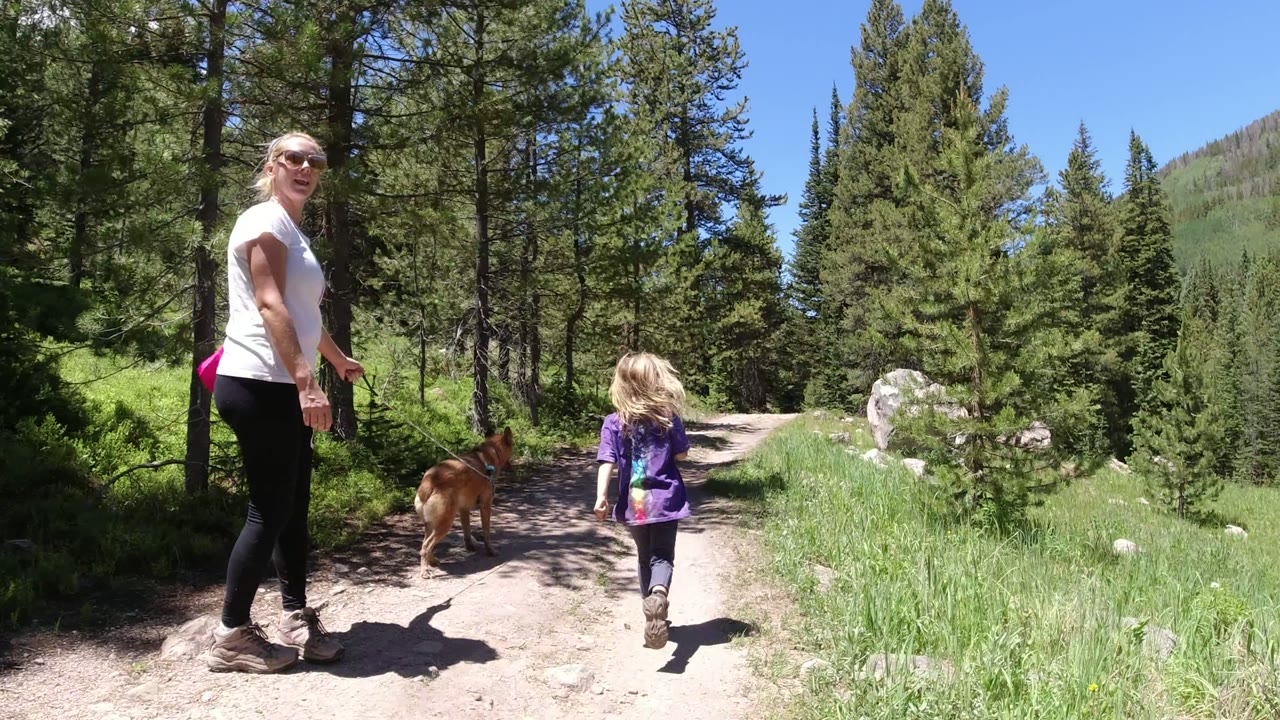 In Winter Park, Colorado, a brown dog joins the adult woman and young girl as they continue down a pine-lined dirt path in bright sunlight.