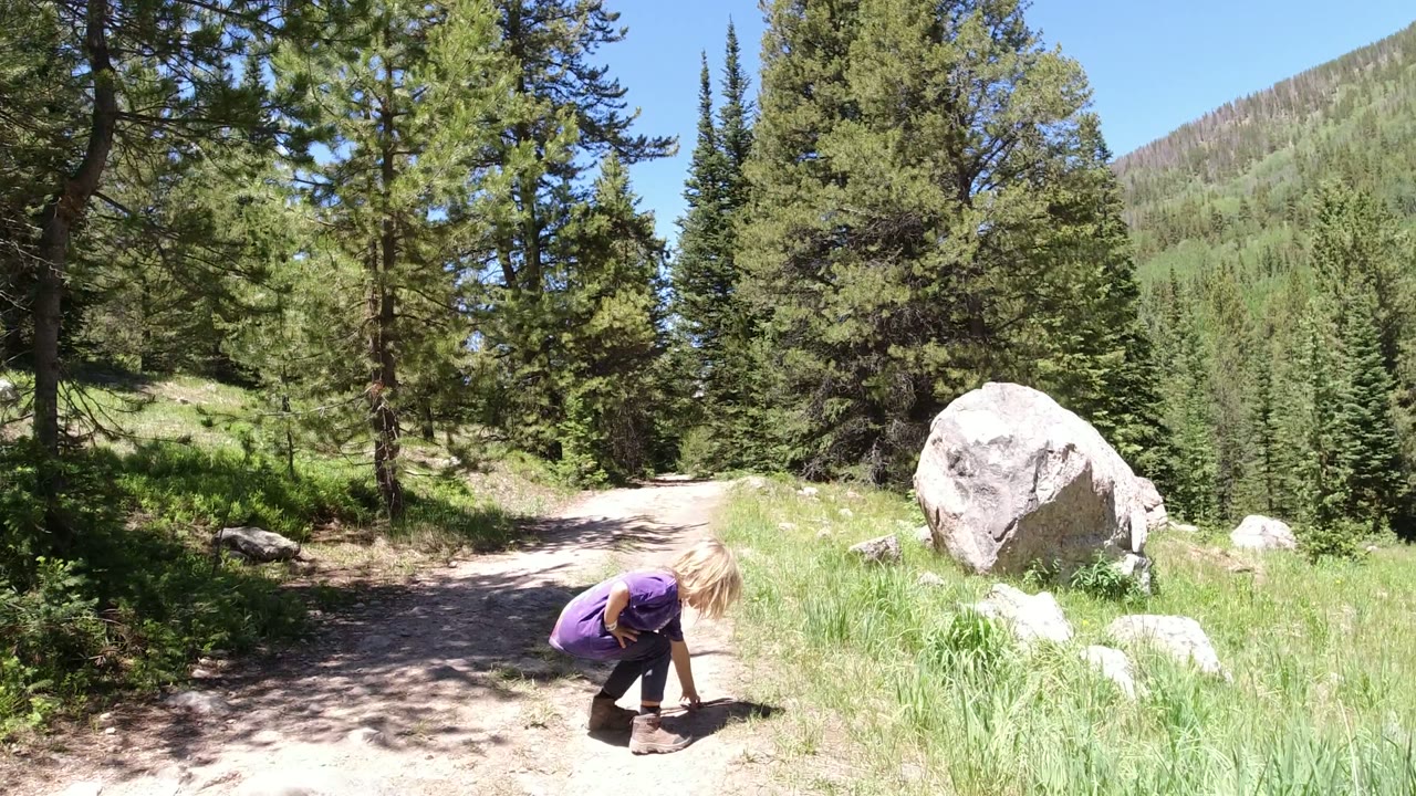 Child crouching on a dirt path in an evergreen forest.