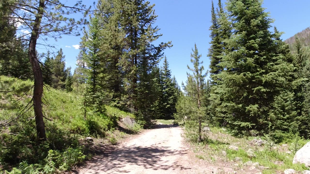 A pale dirt trail in Winter Park, Colorado passes between evergreen trees and green undergrowth, with bright sun patches on the ground and no visible people.