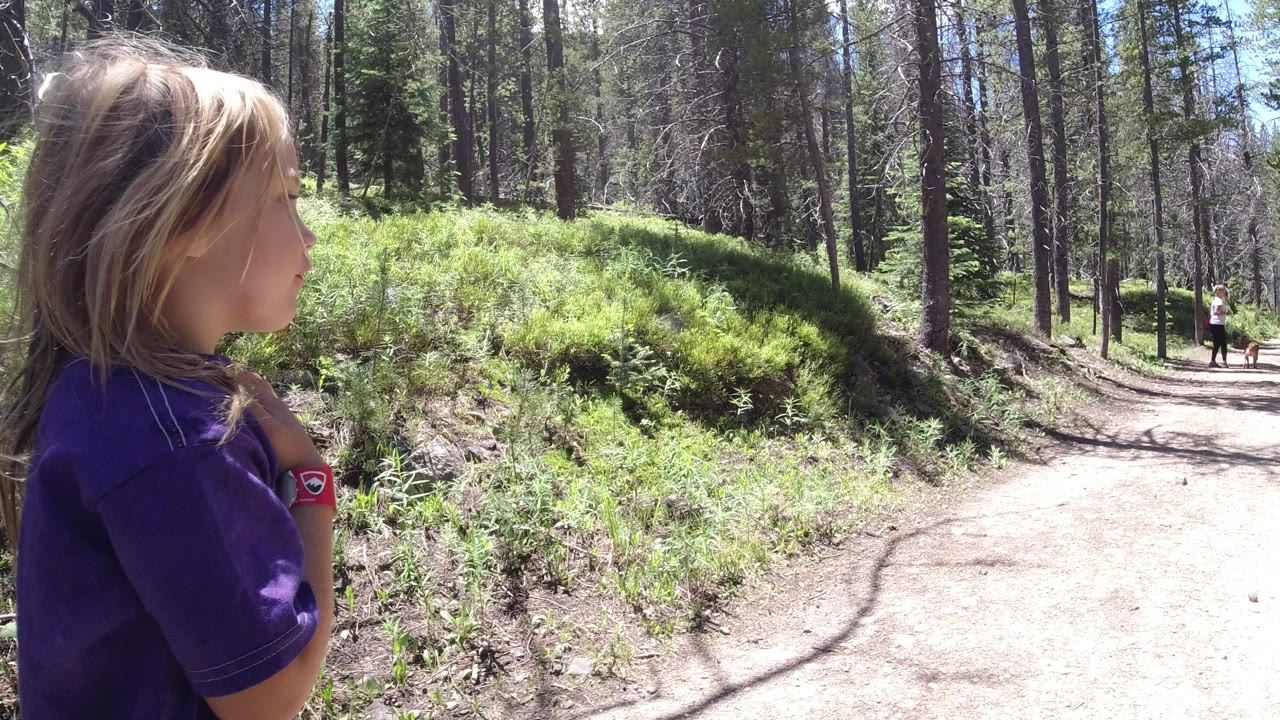 A blonde child in a purple shirt stands at the left edge of a sunlit forest trail in Winter Park, Colorado, with tall trees and green undergrowth behind her.