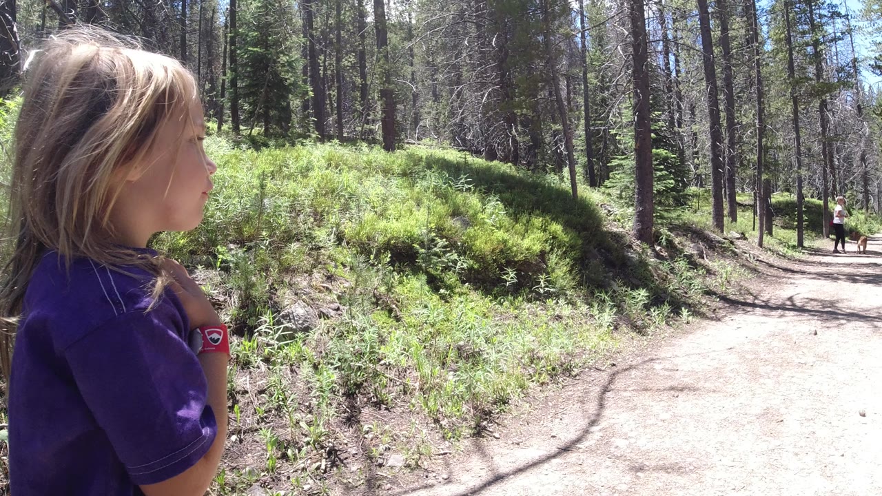 The child remains in left foreground profile beside the dirt trail in Winter Park, Colorado, while two distant people stand farther down the wooded path.