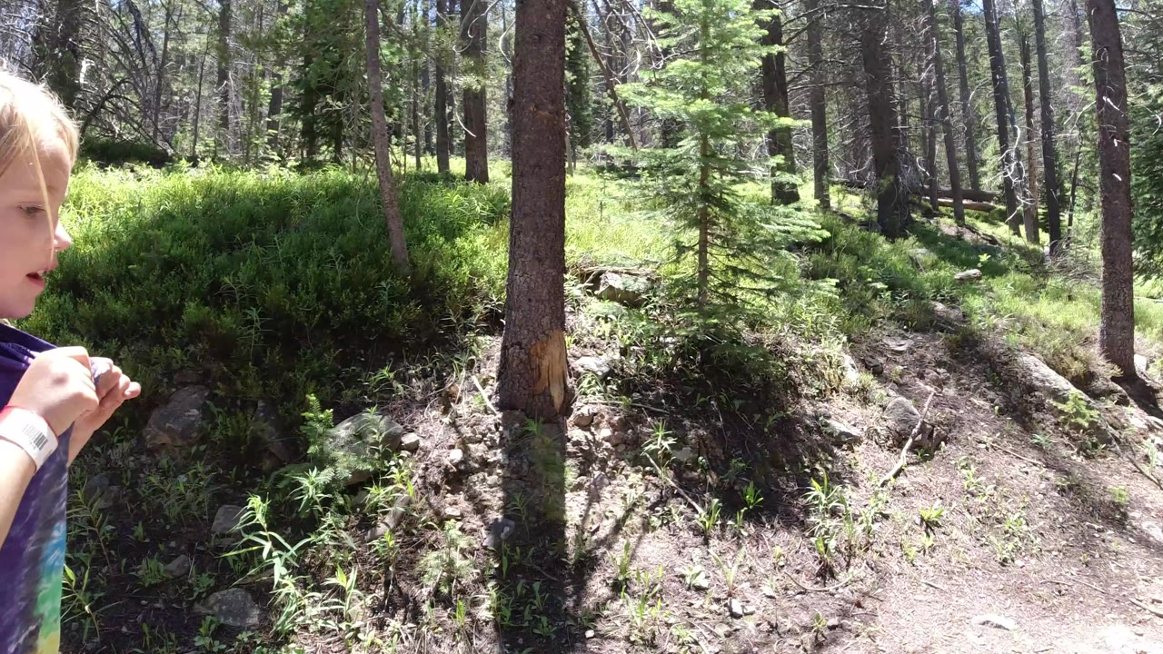 The young girl stands closer to the left side of the Winter Park forest trail, with her hands near her chest and sunlit trees and low green vegetation behind her.