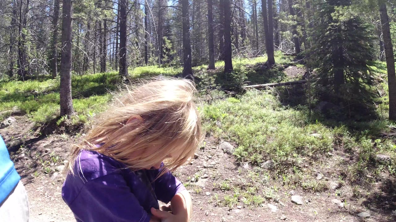Blond child in a purple shirt on a sunny forest trail.