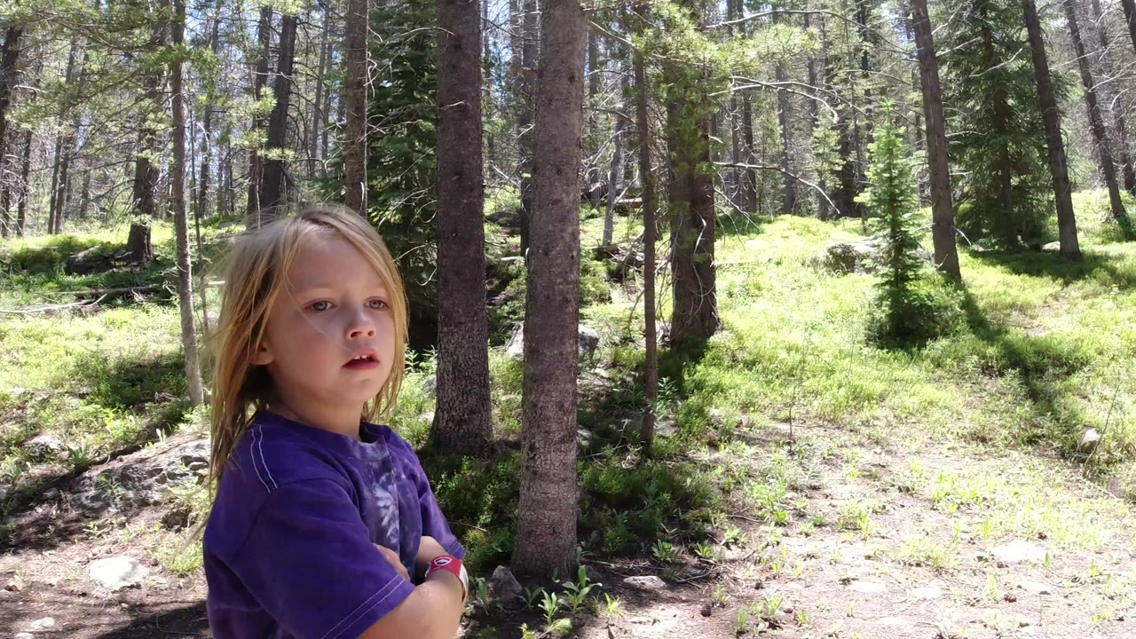 Blonde child in a purple shirt standing beside trees in a sunny forest.
