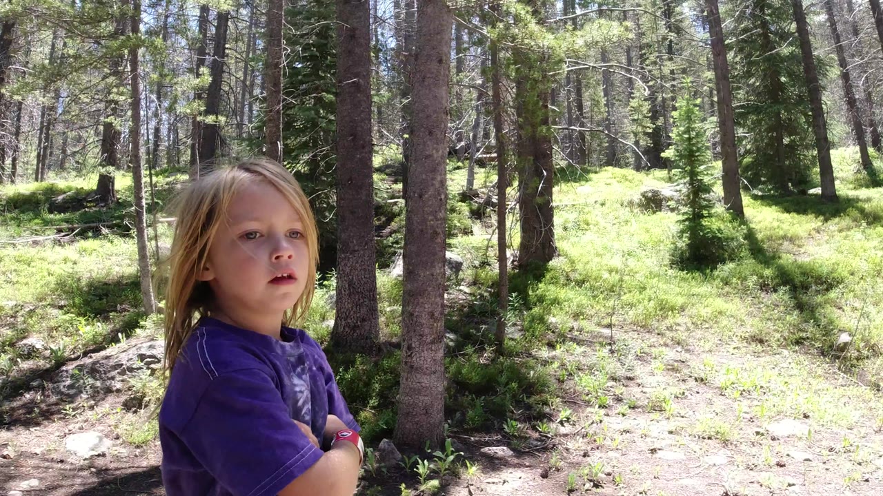 The child remains in the left foreground in Winter Park, Colorado, with her face visible and tall trees, patches of light, and low plants filling the background.
