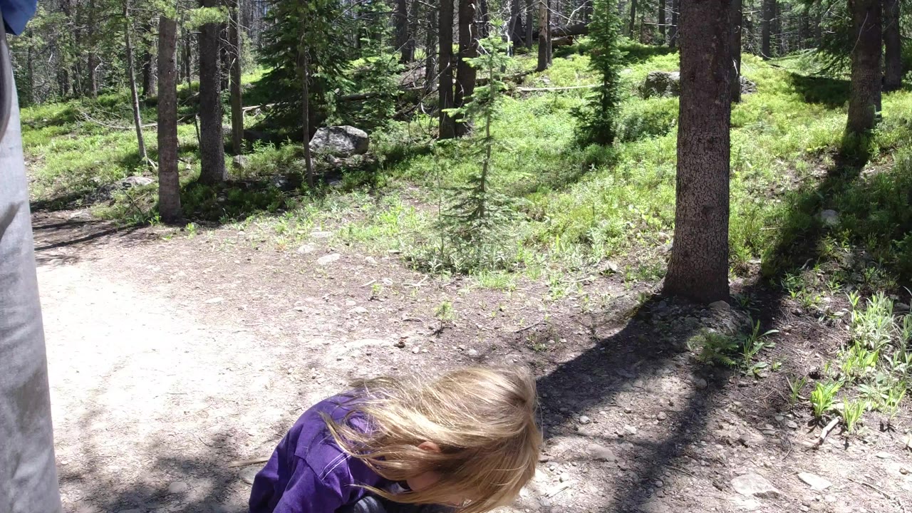 Child partly visible at the bottom of a sunlit forest trail frame.