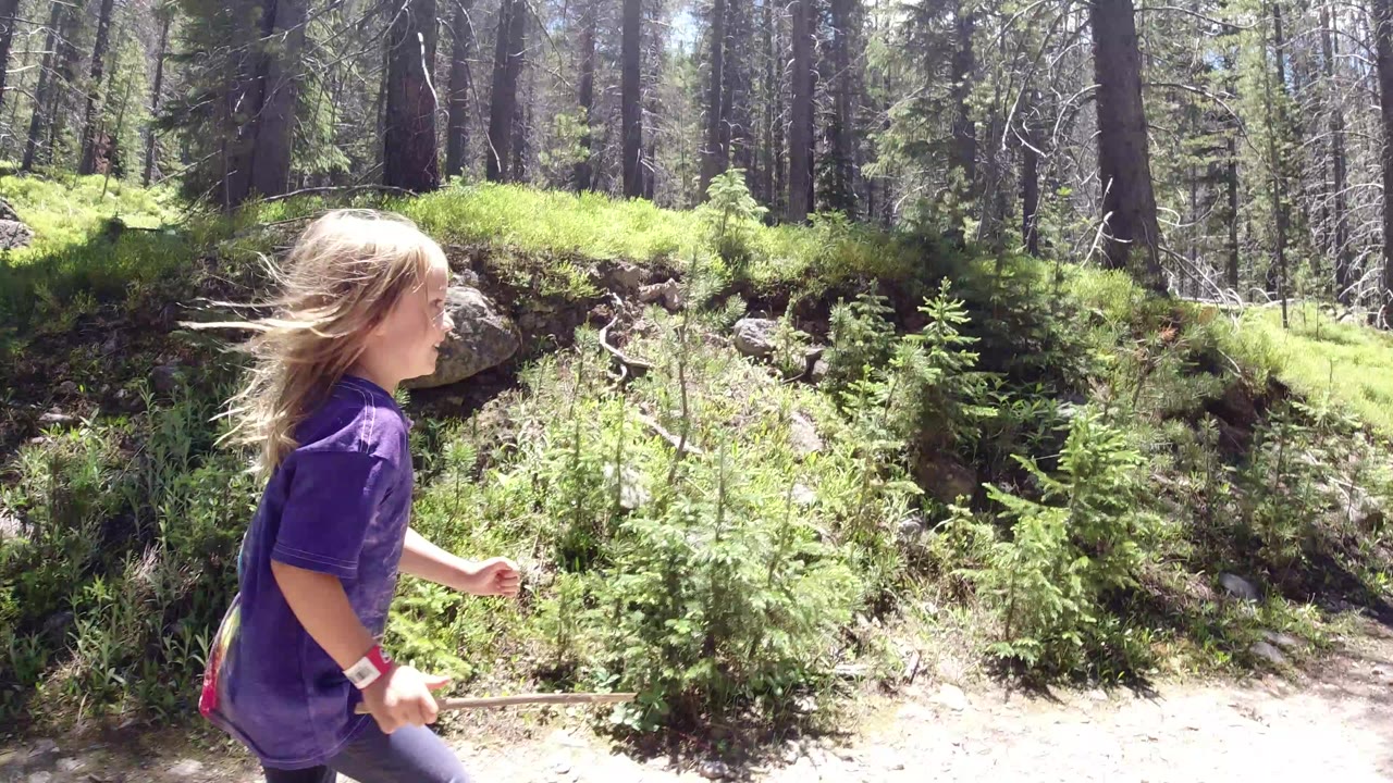 Young girl running on a forest trail with a stick.