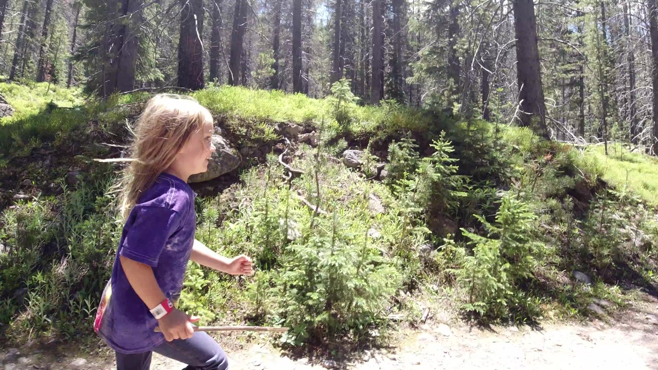 The girl continues along the dirt path in Winter Park, Colorado, with her profile visible, a stick in one hand, and sunlit saplings and rocks behind her.