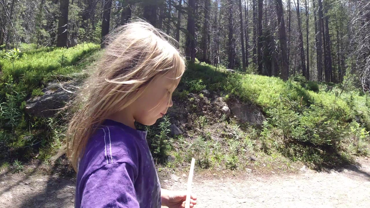 A blonde child in a purple shirt walks in left profile beside a sunlit dirt trail in Winter Park, Colorado, with tall trees and green ground plants behind her.