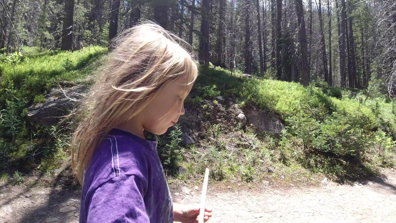The girl looks down while holding a thin stick near the edge of a dirt trail in Winter Park, Colorado, with bright green vegetation and tall forest trunks in the background.