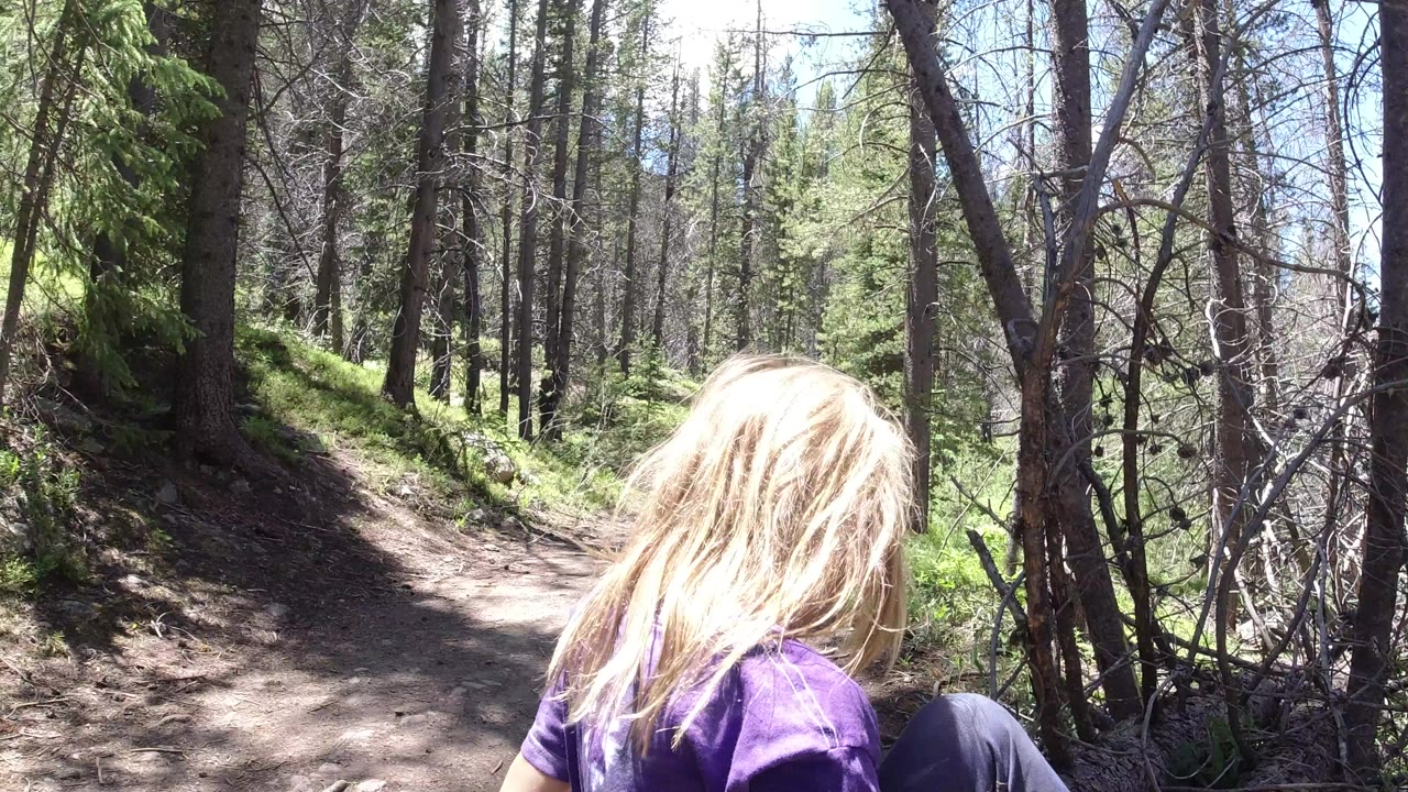 Blonde child seen from behind on a forest trail.