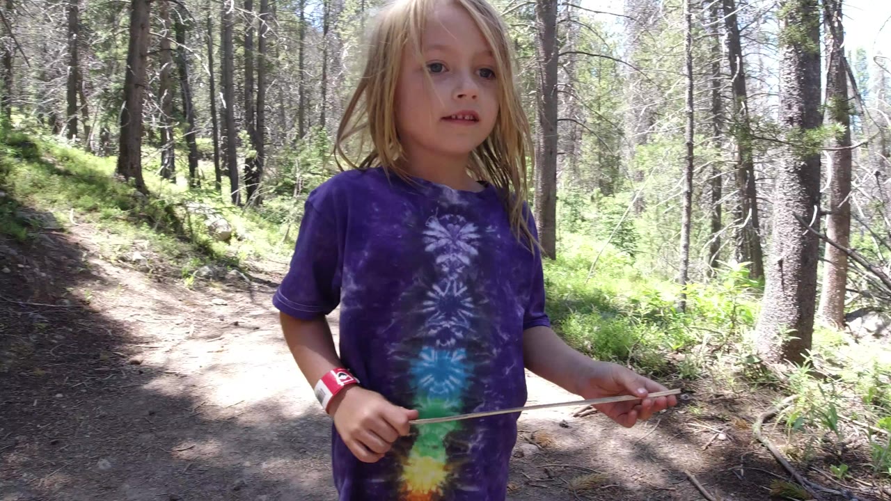Child holding a stick on a sunny forest trail.