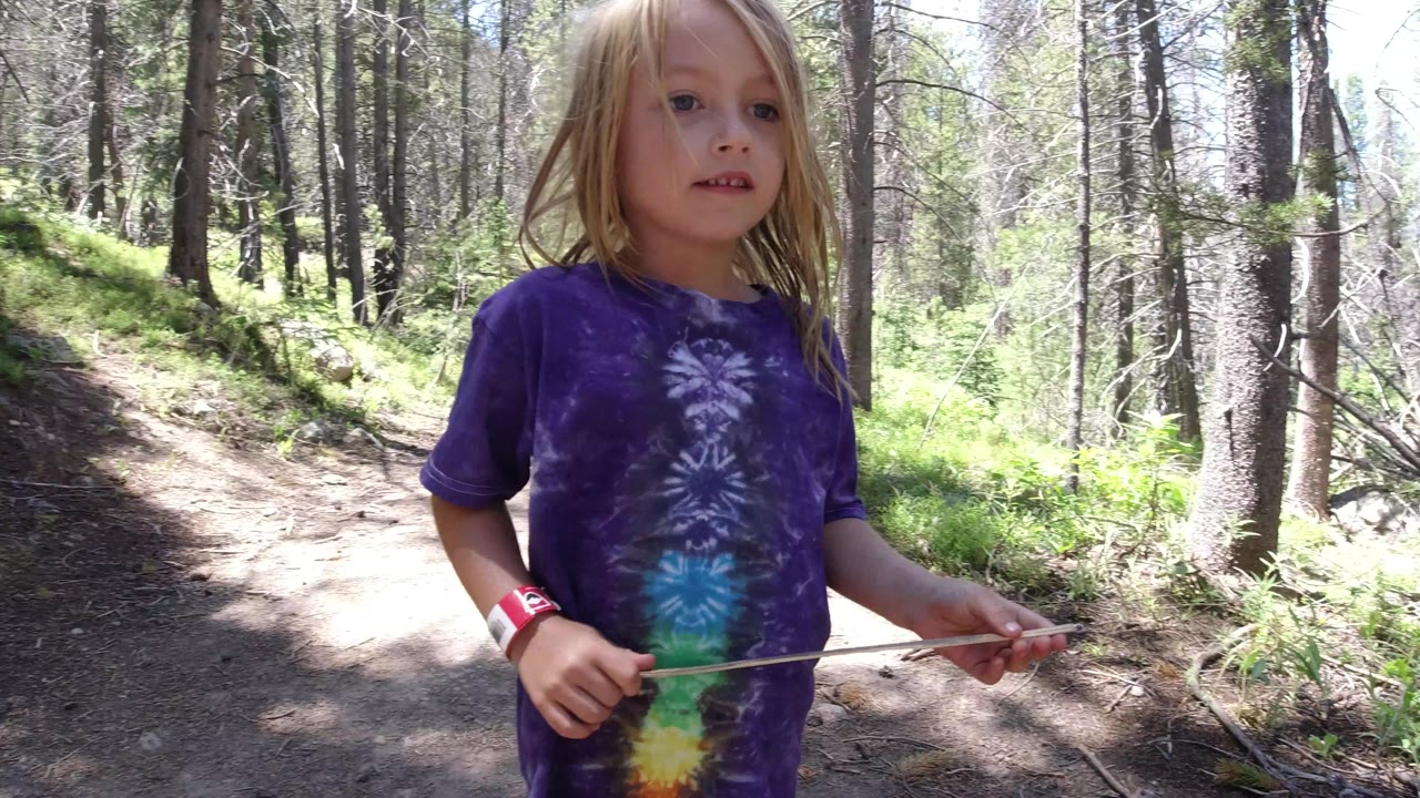 The child remains near the left side of a shaded dirt path in Winter Park, Colorado, holding a stick while tall tree trunks and green ground cover fill the background.