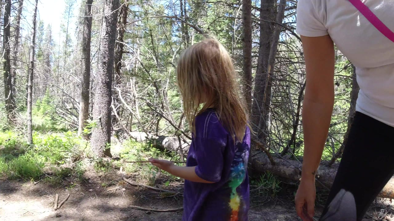 Girl in purple shirt beside an adult on a sunny forest trail.
