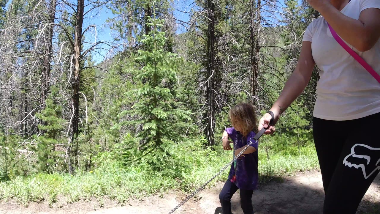 In Winter Park, Colorado, a cropped adult woman holds a chain or rope while a small child in a purple shirt walks beside a sunny forest trail.