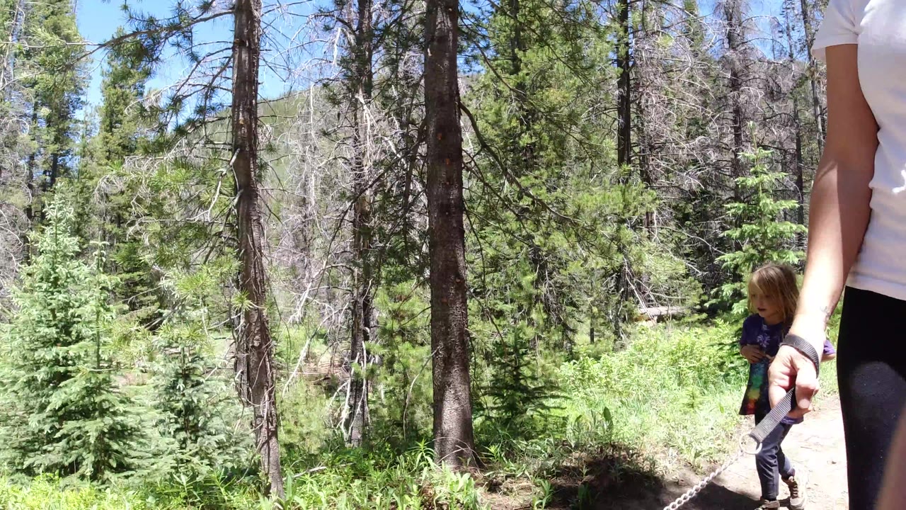 A young child stands near a cropped adult on the Winter Park forest path, with evergreen trees, dry trunks, and bright sunlight filling the background.