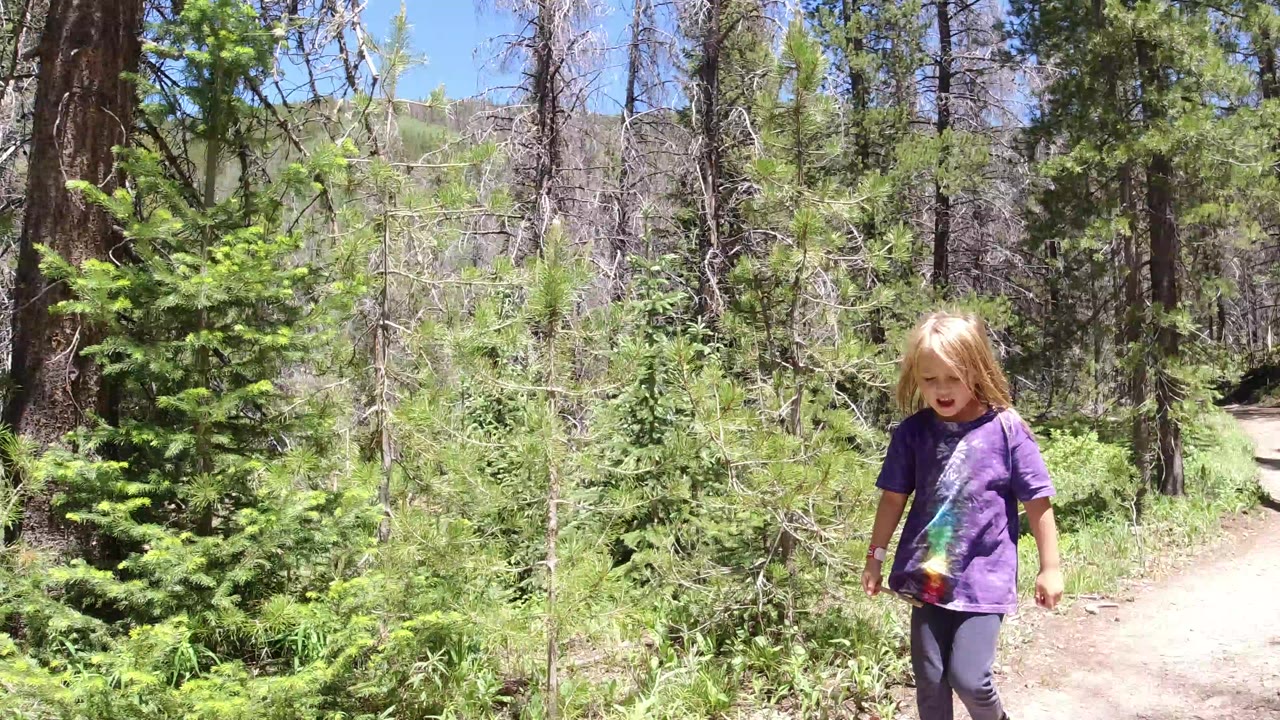 Young girl walking on a sunny forest trail.