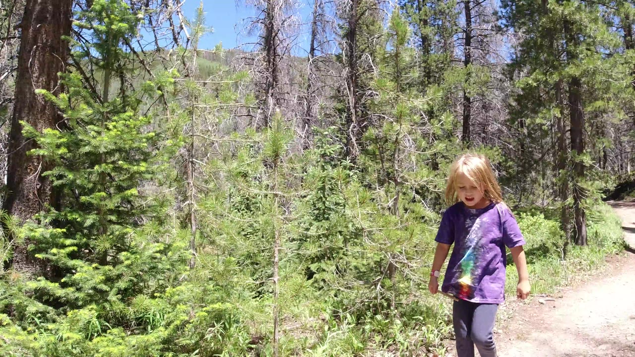 The girl continues along the Winter Park forest path, positioned near the trail edge with dense green brush and tree trunks behind her.