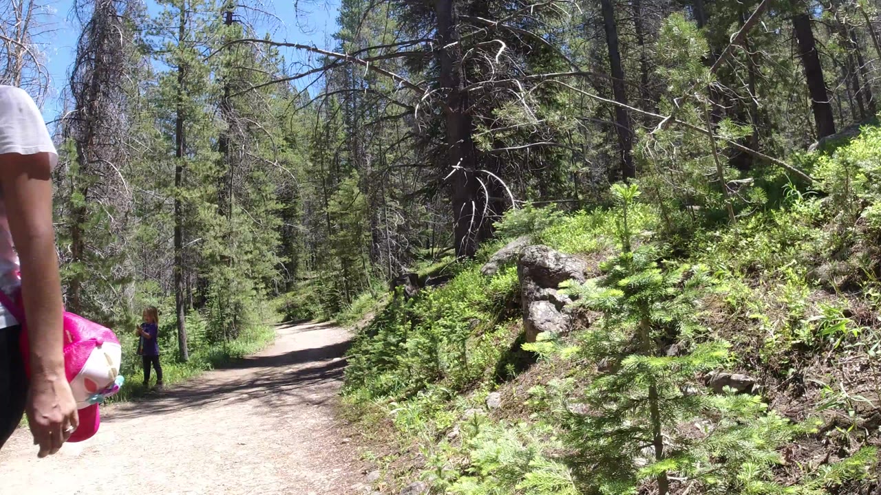 Gravel forest road with partial foreground person and distant figure near trees.