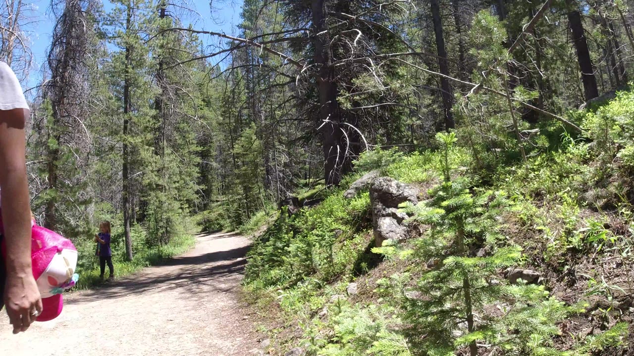 A bright gravel road in Winter Park, Colorado is bordered by conifers and brush, with a partial arm at the right edge and a distant person standing left of the path.