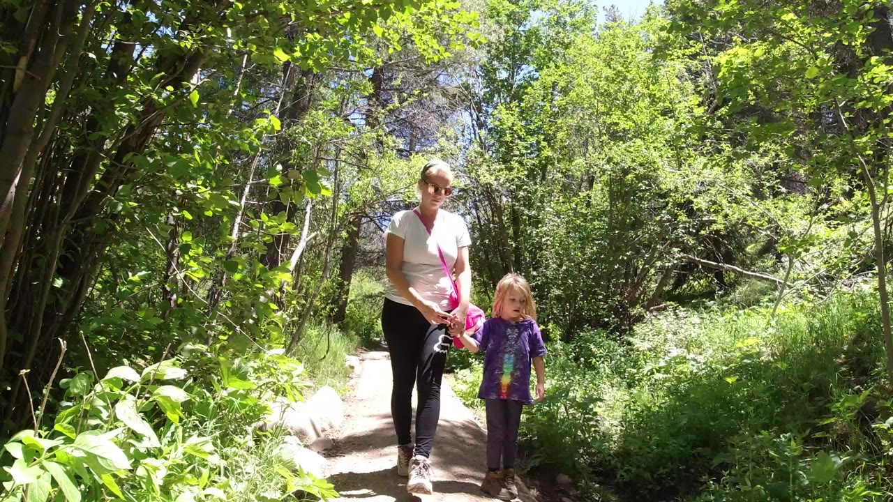 Woman and child walking on a sunny wooded trail.