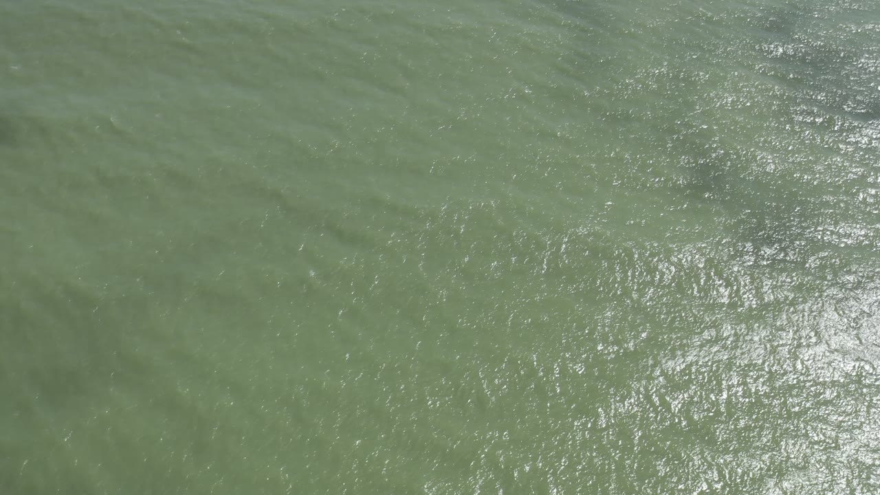 Green ocean surface with shimmering sunlight.