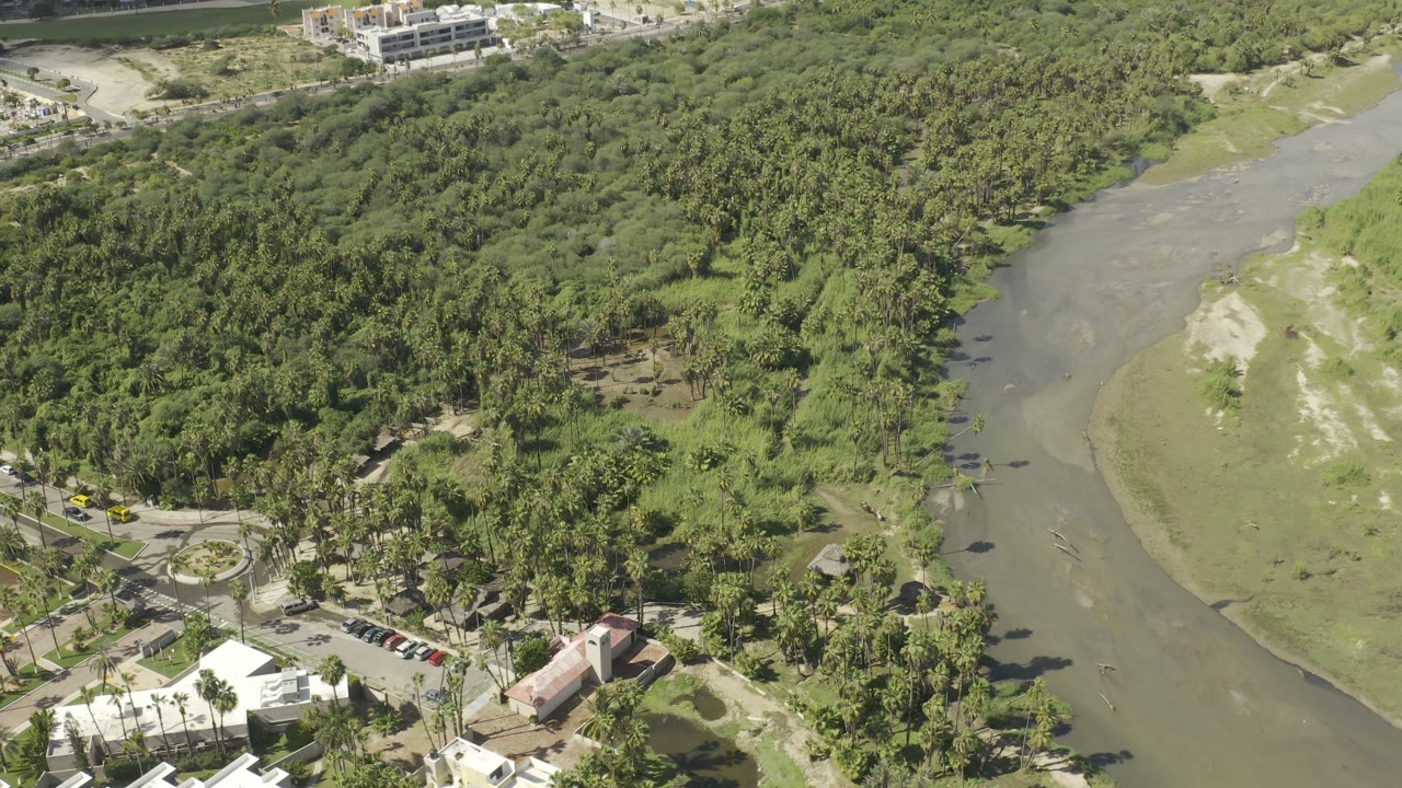 High aerial frame in Los Cabos, Mexico, with a curving waterway along the right side, thick tree cover across the center, low buildings near the bottom, and no visible people.