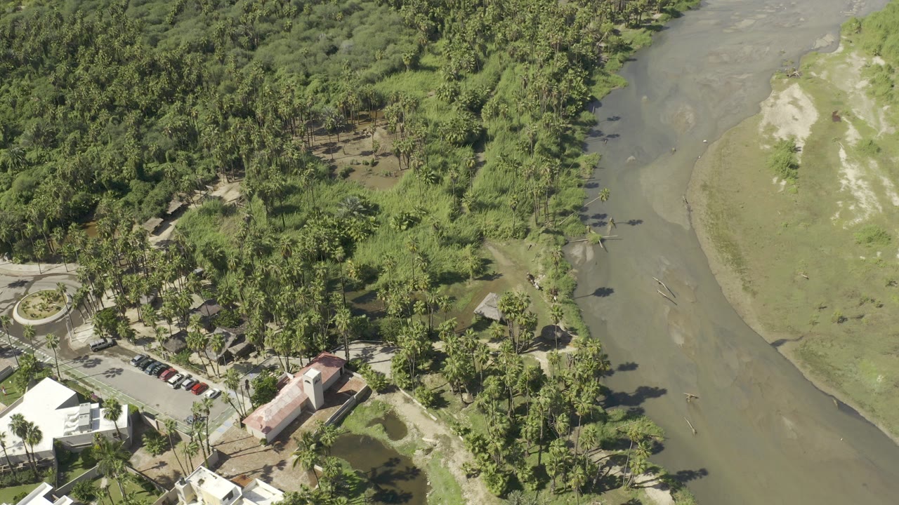 Aerial view of green trees beside a muddy river channel and small buildings.