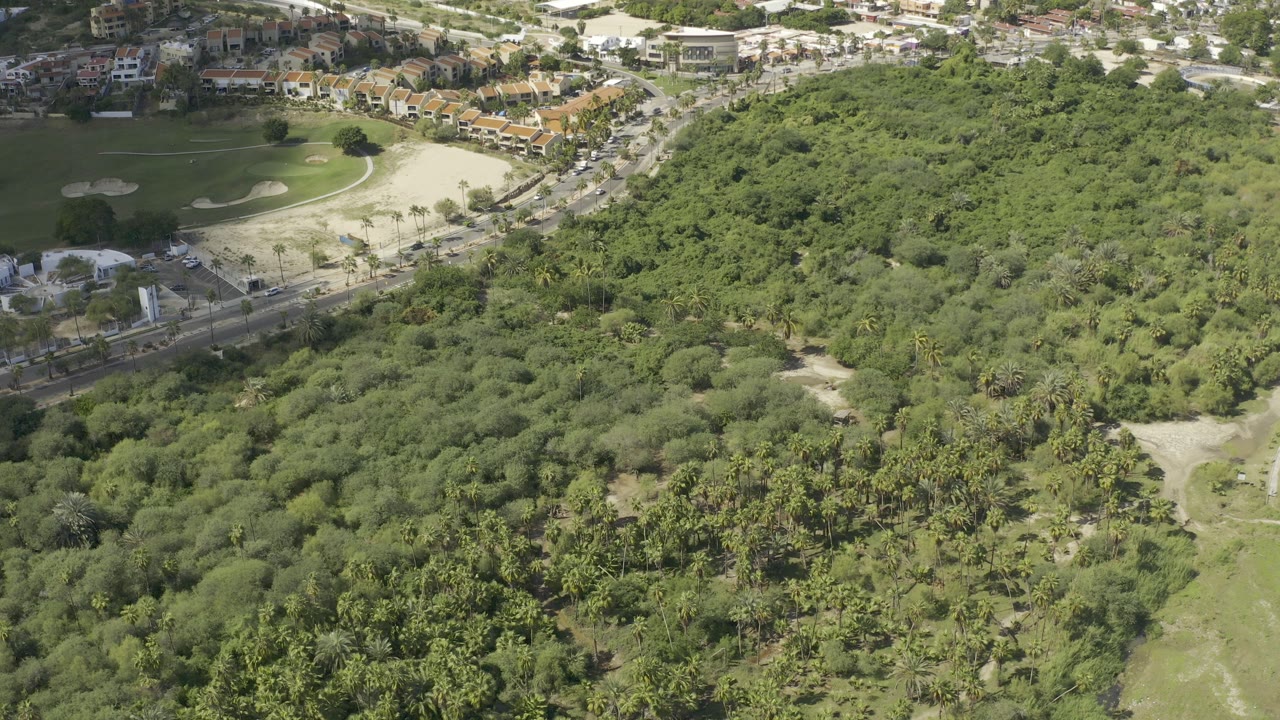 Aerial view of green forest beside a road and golf-course sand areas.