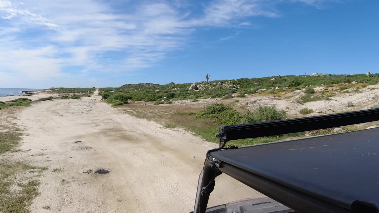 Off-road track curves through brush toward coastal dunes