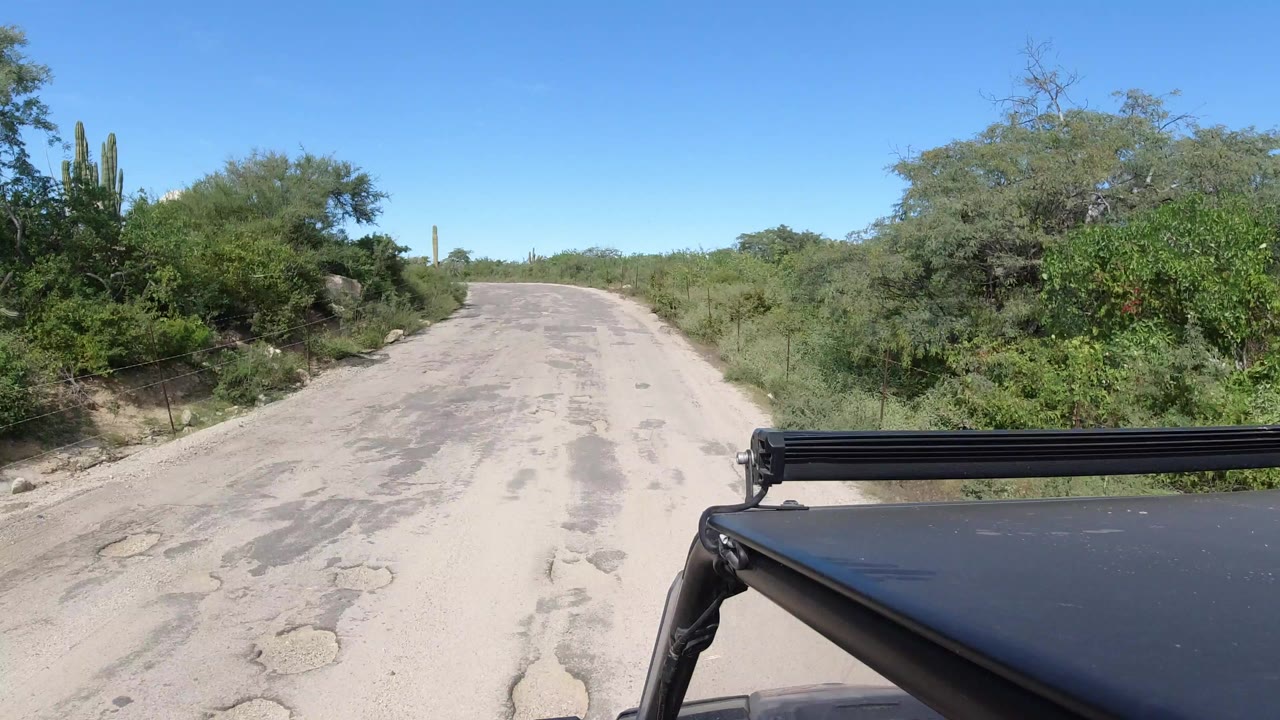 Vehicle roof view on a pale road through dense brush and cacti.