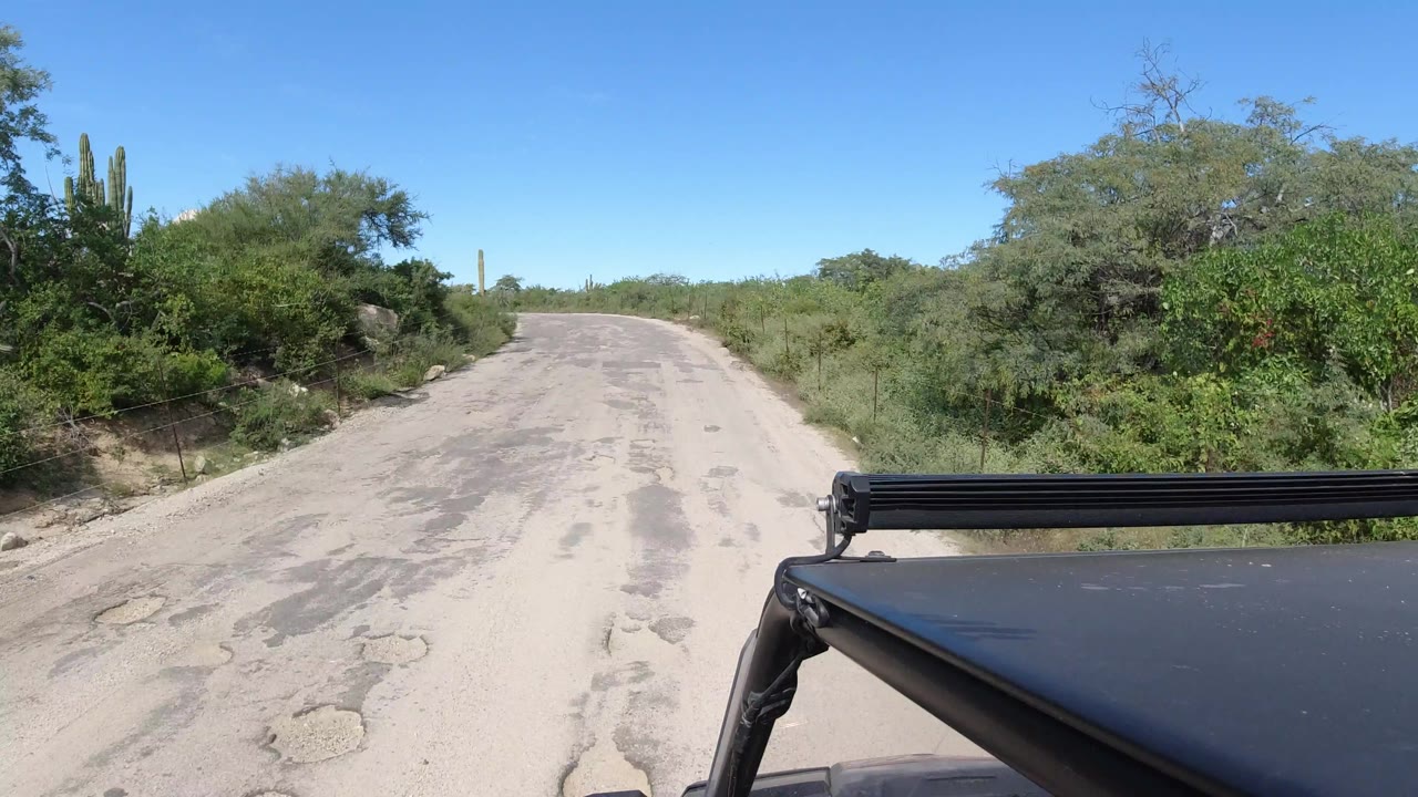 A vehicle-mounted view continues along a patched Los Cabos road, with scrubby green vegetation and cactus columns beside the road and no visible people.