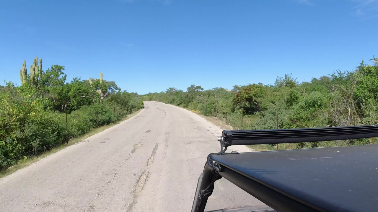 Forward view down an empty paved road in Los Cabos, Mexico, with green roadside brush, cactus at left, blue sky, and the vehicle roof edge visible at lower right, no visible people.