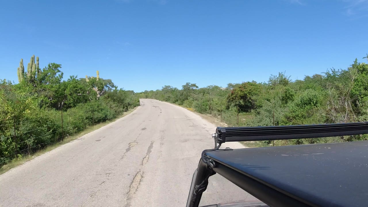 The road continues straight through Los Cabos roadside vegetation, with dense green brush on both sides, a clear sky above, and black vehicle hardware at the lower right, no visible people.