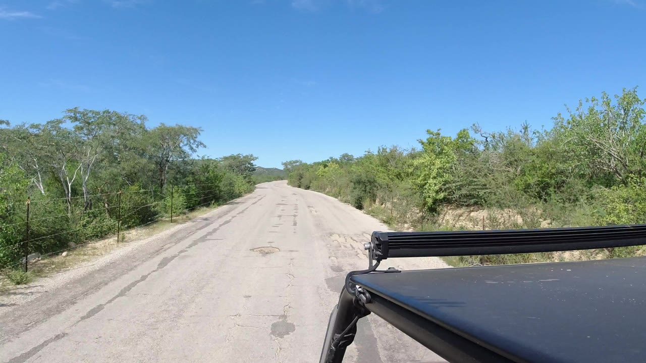Forward view down an empty Los Cabos road with green trees on both sides, distant low hills, black vehicle roof hardware at lower right, and no visible people.