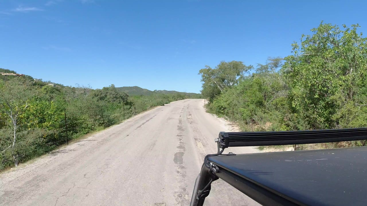 Straight paved road bordered by green shrubs and a vehicle roof edge.