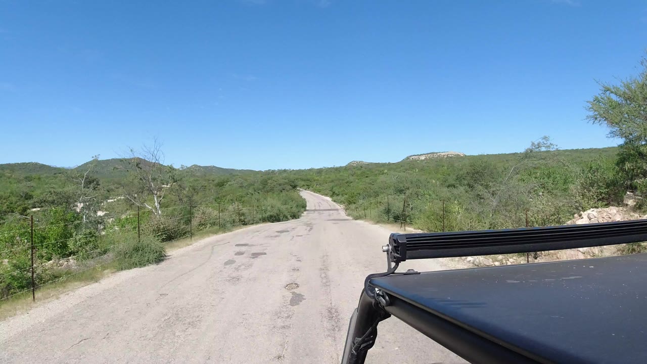 Pale road through green brush with vehicle roof in foreground.