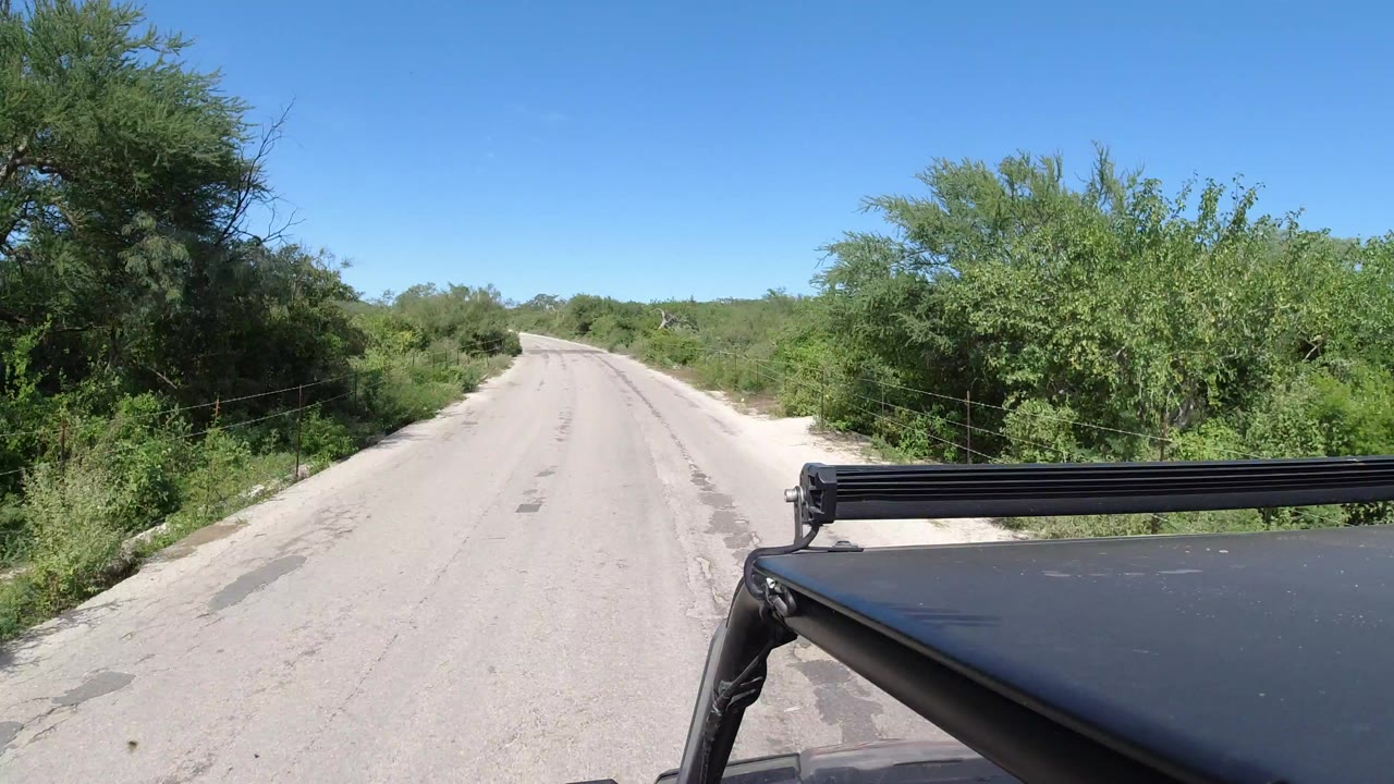 Forward road view in Los Cabos, Mexico, with pale pavement, dense green roadside brush, blue sky, and part of the vehicle roof visible, with no visible people.