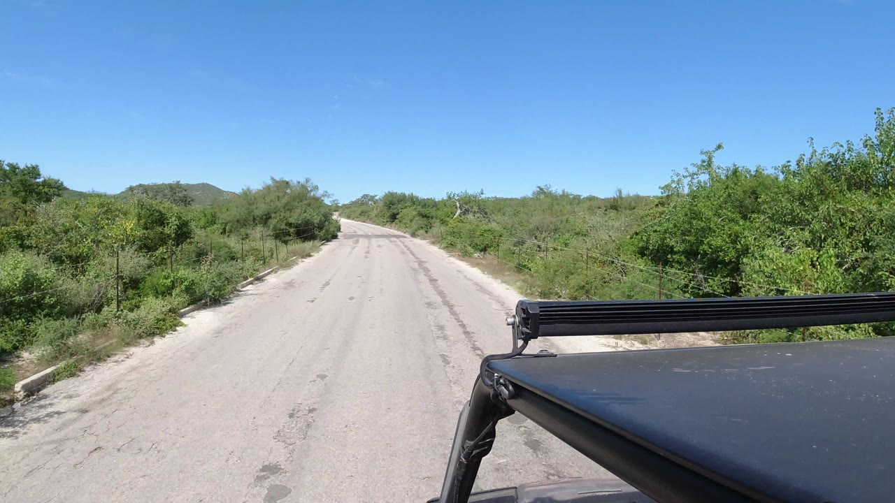 Empty road curving slightly through roadside vegetation under a clear sky.